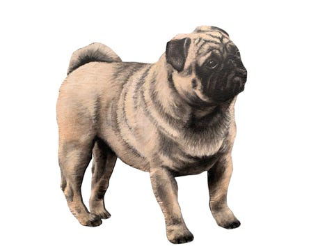 Acryl auf Holz, lebensgroß